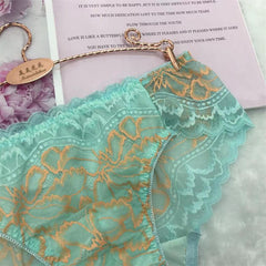 Luxury Lace Mesh Men's Panties - Cissify