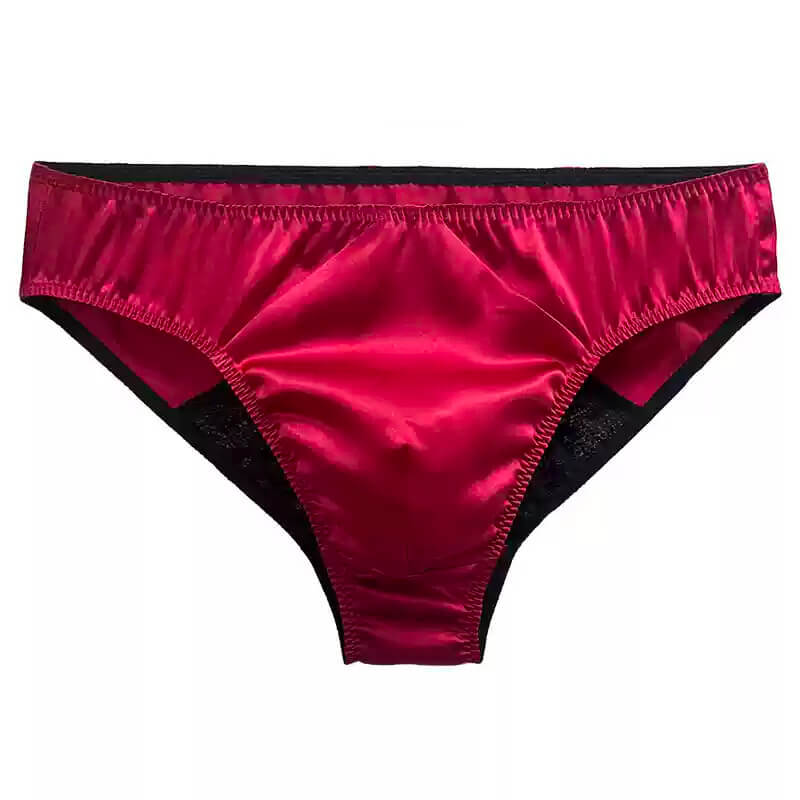 Luxury Panelled Men's Hipster Panty - Cissify
