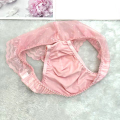 Luxury Transparent Mesh Lace Panties - Cissify