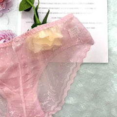 Luxury Transparent Mesh Lace Panties - Cissify