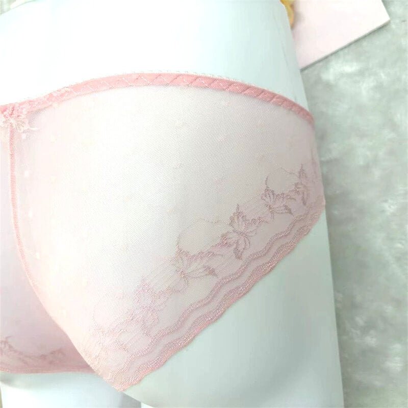 Luxury Transparent Mesh Lace Panties - Cissify