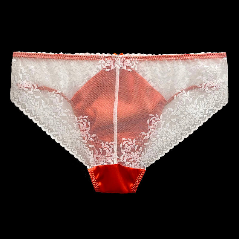 Sexy Silk Pouch Panelled Men's Panties - Cissify