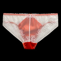 Sexy Silk Pouch Panelled Men's Panties - Cissify