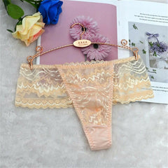 Sexy Transparent Mesh Panties Thong - Cissify