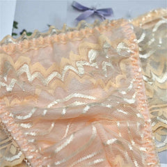 Sexy Transparent Mesh Panties Thong - Cissify