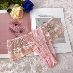 Sexy Transparent Mesh Panties Thong - Cissify