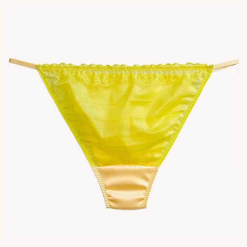 Silk Low Rise Panelled Bikini Panties - Cissify