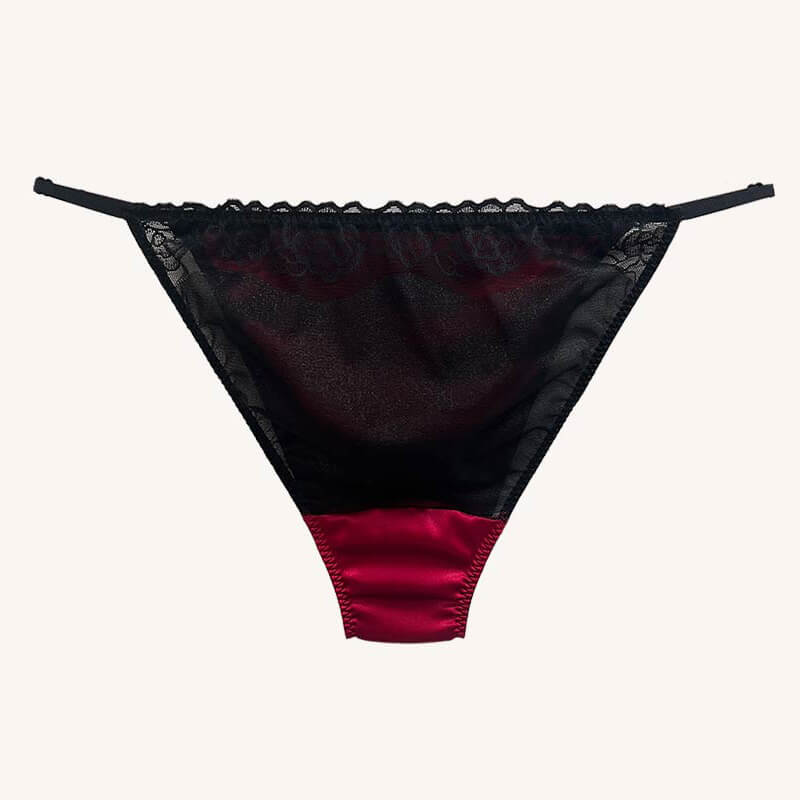 Silk Low Rise Panelled Bikini Panties - Cissify