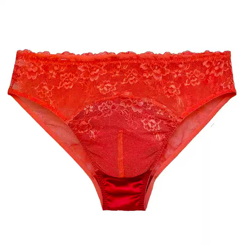 Silk Transparent Panelled Pouch Panties - Cissify