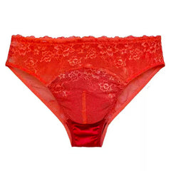 Silk Transparent Panelled Pouch Panties - Cissify