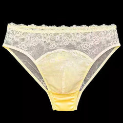 Silk Transparent Panelled Pouch Panties - Cissify